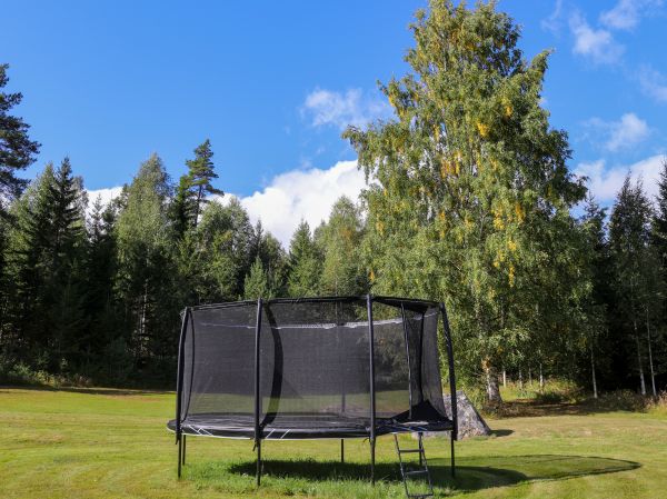 Trampoline Removal in Pasadena