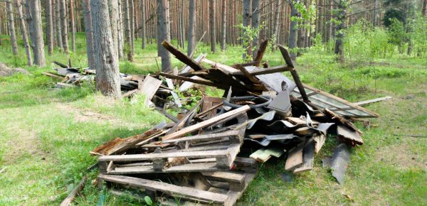 Debris Removal Service in Pasadena